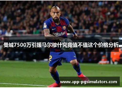 曼城7500万引援马尔穆什究竟值不值这个价格分析 曼城7500万引援马尔穆什究竟值不值这个价格分析
