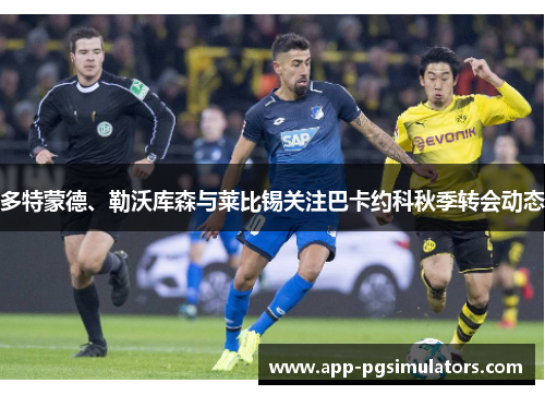 多特蒙德、勒沃库森与莱比锡关注巴卡约科秋季转会动态 多特蒙德、勒沃库森与莱比锡关注巴卡约科秋季转会动态