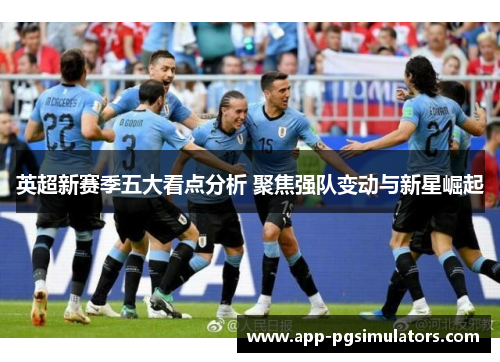 英超新赛季五大看点分析 聚焦强队变动与新星崛起 英超新赛季五大看点分析 聚焦强队变动与新星崛起